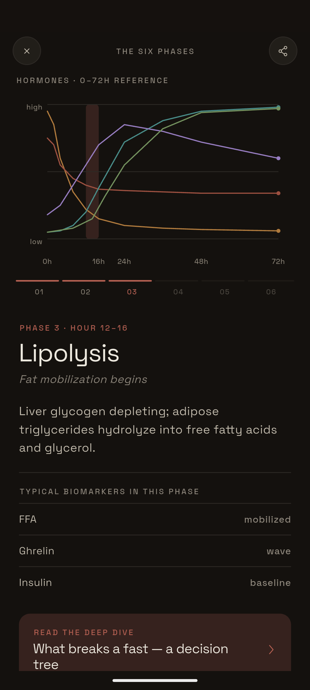 Intermittent app — Timer screen detail showing the six biological phases of fasting